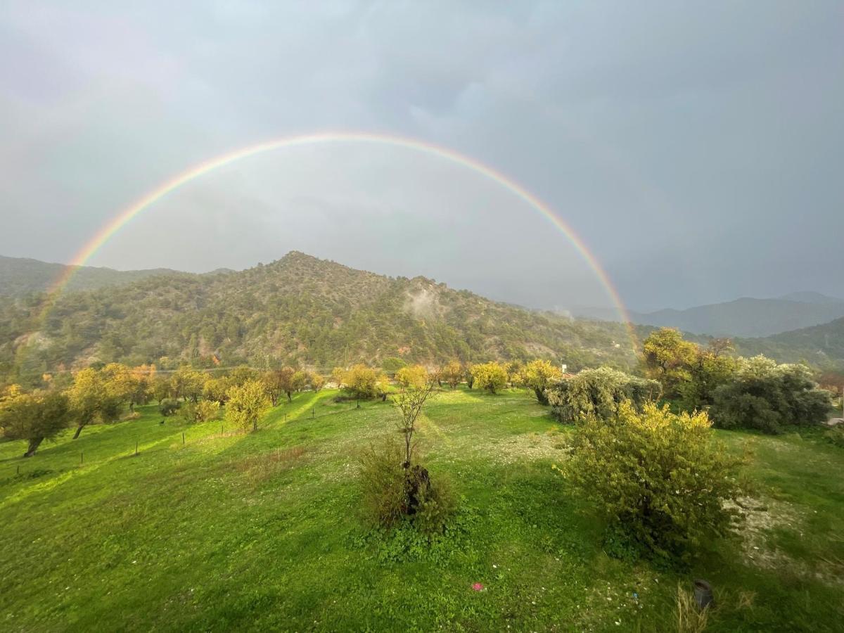 Revecca House Villa Agios Mamas Buitenkant foto